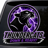 Custom Thundercats Softball Window Decal | Weatherproof DTF