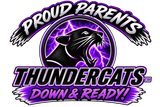 Custom Thundercats Softball Window Decal | Weatherproof DTF