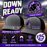 Thundercats (TM) Custom Official Team Hat