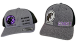 Thundercats (TM) Custom Official Team Hat