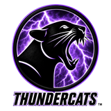 Thundercats (TM) Custom Official Team Hat